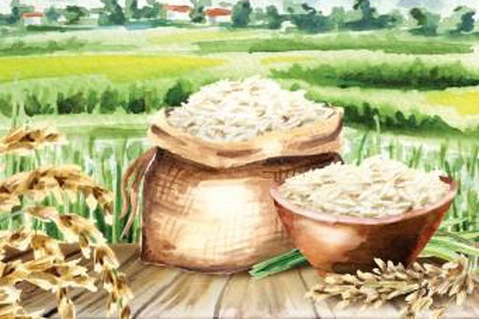 International Islamic Trade Finance Corporation (ITFC)