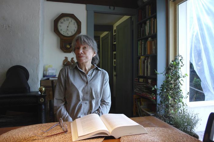 Jane Langton, Author of New England Mysteries, Is Dead at 95