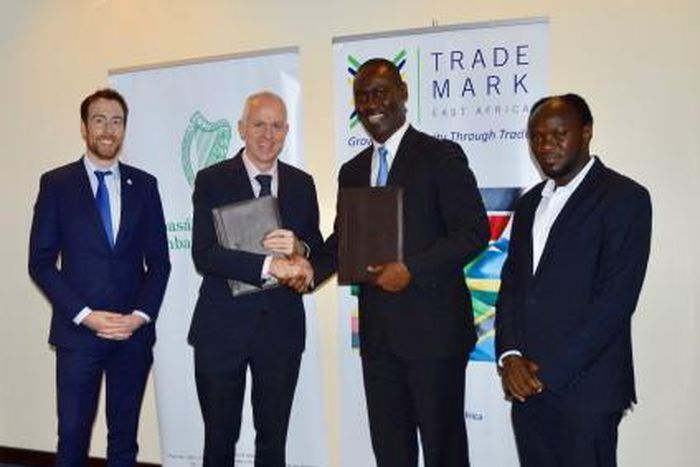 Embassy of Ireland, Tanzania