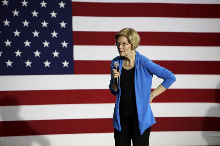 To Rise Above the Democratic Pack, Warren Tries 'Nerding Out'
