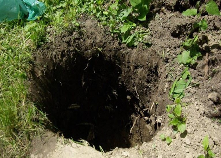 Pit latrine(Citizen TV)