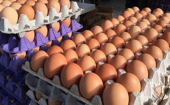Gov’t planning to replace eggs with Chinese mackerel for students – GNAPF
