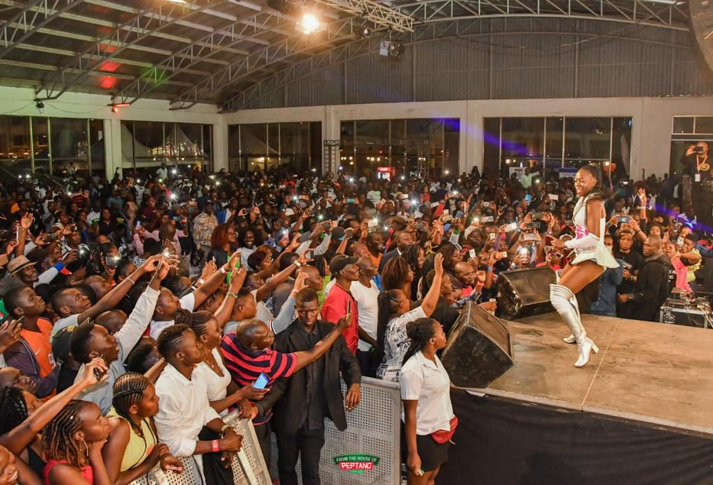 Akothee collapses on stage