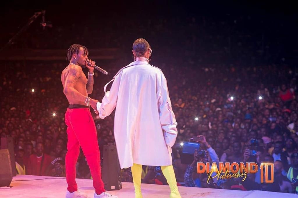 Tanasha Donna’s response after reports that Diamond is already cheating on her (screenshots)