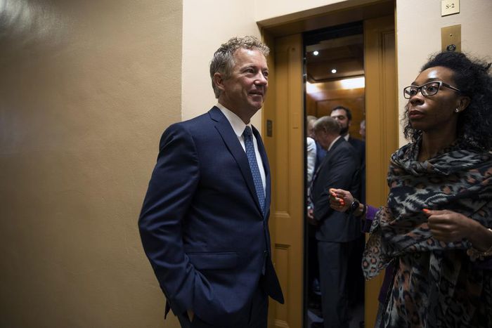 Liz Cheney, Tart-Tongued Fighter, Is Warring With Rand Paul Over Who's Trumpier