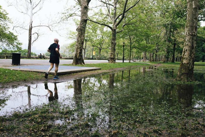 Flooding in Riverside Park: Good for Ducks. Bad for Amtrak Trains Below?