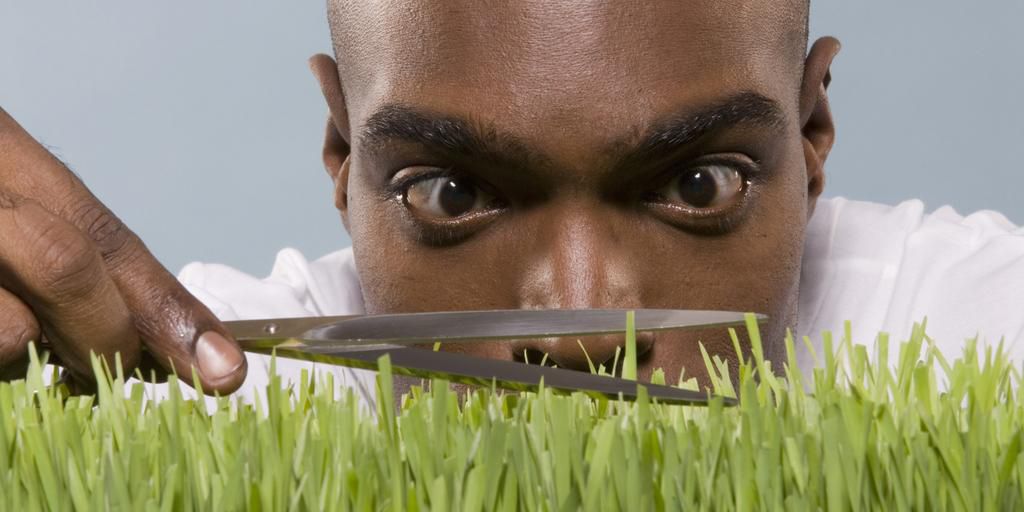 Perfectionist(everhelperblog)