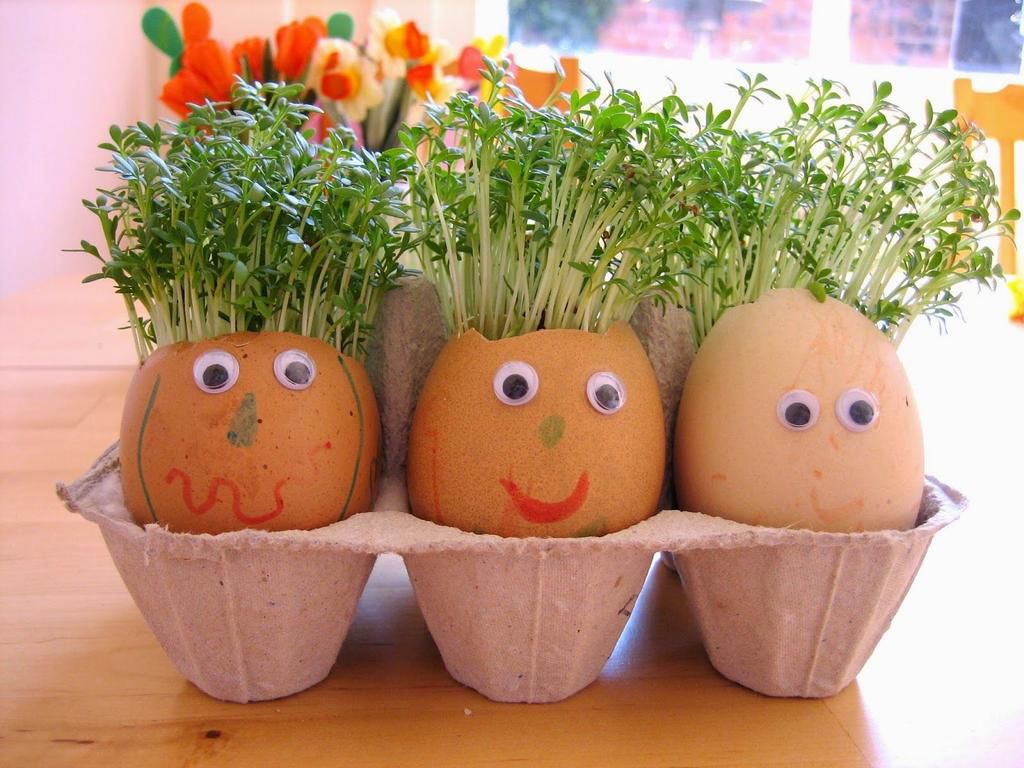 Eggshells decor(Pinterest)