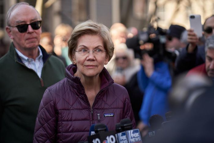 Will Warren Endorse a Candidate? She Has a Few Options