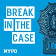For This Crime Show, the NYPD Holds the Camera