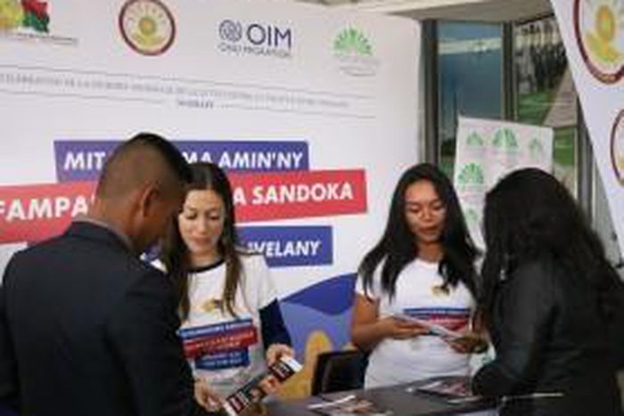 International Organization for Migration (IOM)