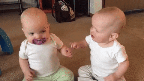 Twins gifs (gfycat)