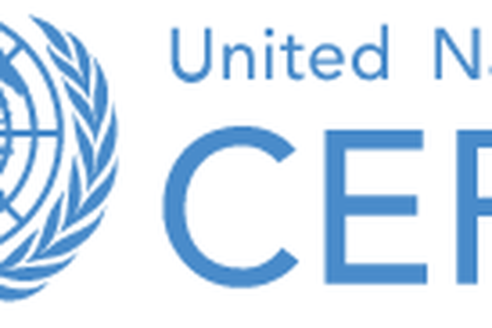 Central Emergency Response Fund (CERF)