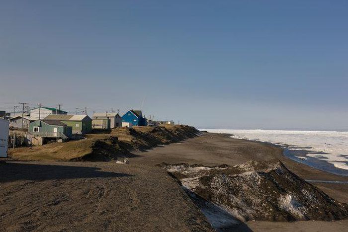 Trump's order to open arctic waters to drilling was unlawful, federal judge finds