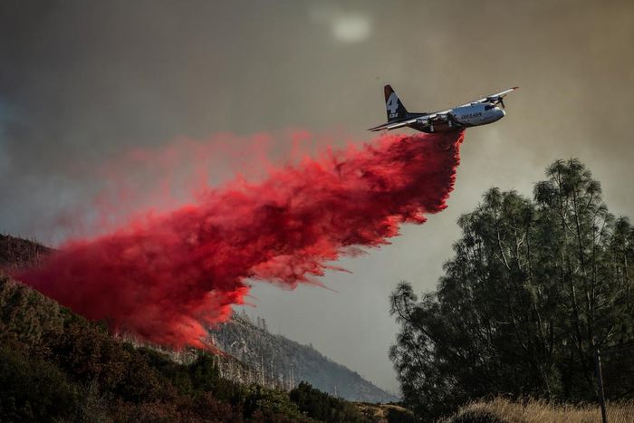 Lessons We Learned From the California Wildfires