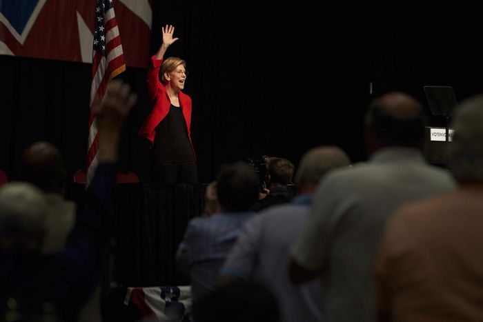 Democratic Hopefuls Are Lining Up, but Who Matches the Moment?