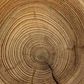The tales in the tree rings