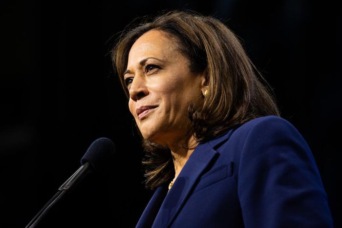 'Trust Me': Kamala Harris Makes Big Play on Criminal Justice Reform