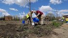 Free trees? Many Detroit residents say no thanks