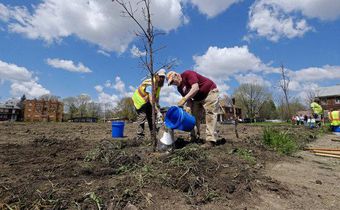 Free trees? Many Detroit residents say no thanks