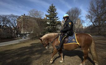 Central Park Detective Retires With the Horse He Rode in On