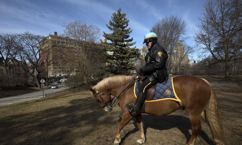 Central Park Detective Retires With the Horse He Rode in On