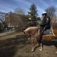 Central Park Detective Retires With the Horse He Rode in On