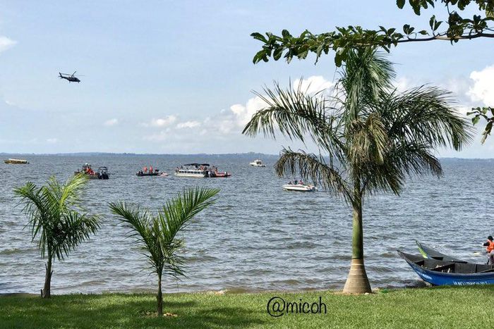 ___9136268___2018___11___25___8___Ds1I3bGX4AA9FHX