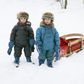 Snow: Check. Sled: Check. Thrills: Check. You Get the Picture.