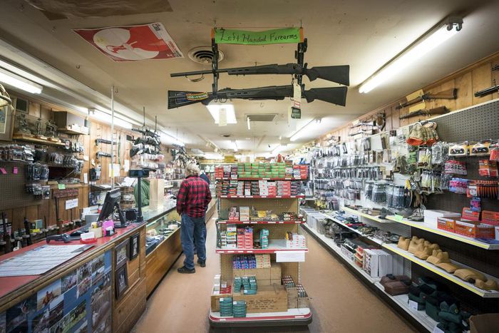 Gun Ownership Rates Tied to Domestic Homicides, but Not Other Killings, Study Finds