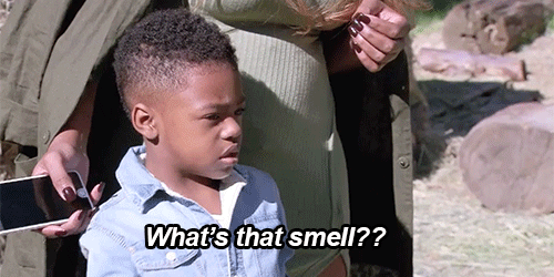 Smell gif (BuzzFeed)