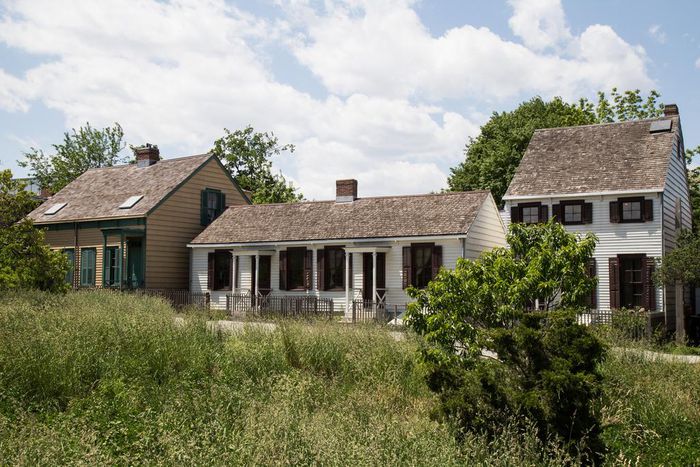 In Brooklyn, Black Haven From 1800s Is in Danger