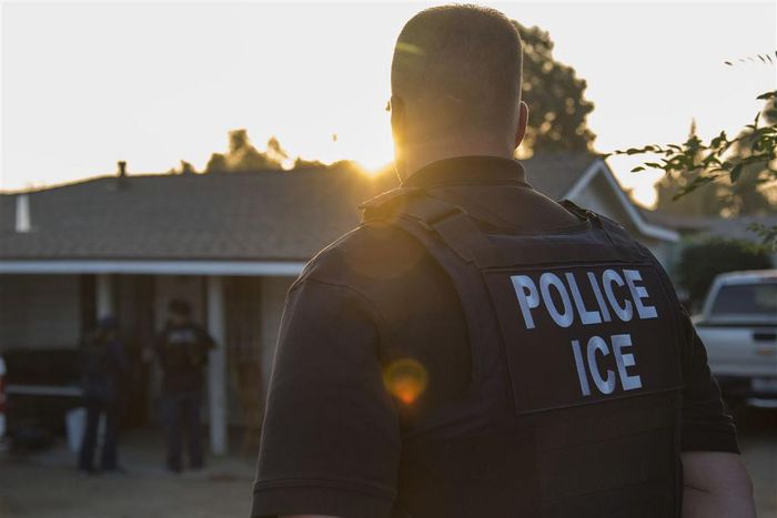 ICE ran a fake university in Michigan to catch immigration fraud