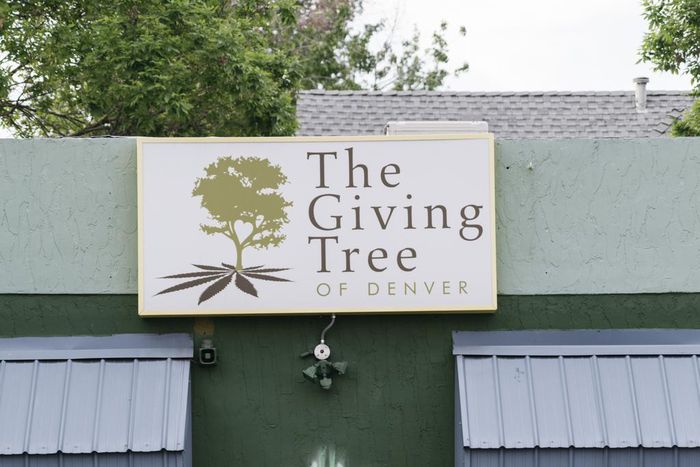 Reefer Madness or Pot Paradise? The Surprising Legacy of the Place Where Legal Weed Began