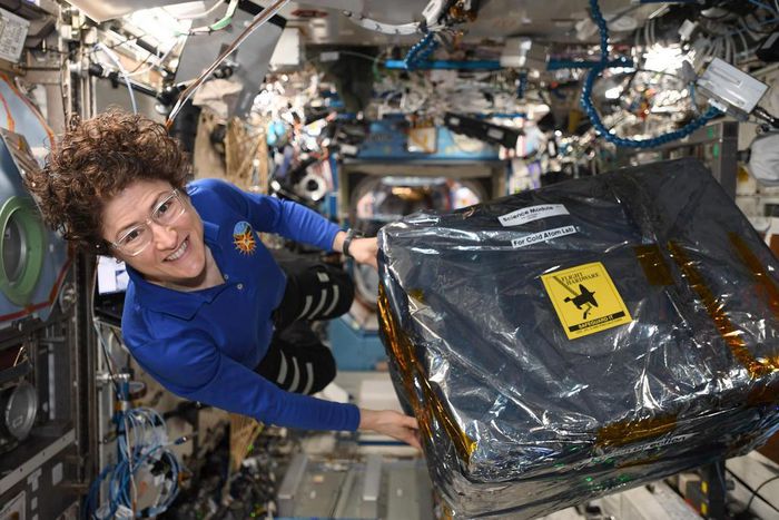 Christina Koch Lands on Earth, and Crosses a Threshold for Women in Space