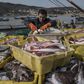 The World Is Losing Fish to Eat as Oceans Warm, Study Finds