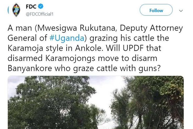 ___9118354___2018___11___19___10___ldw