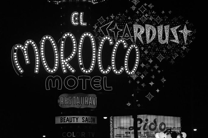 When Neon Owned the Night