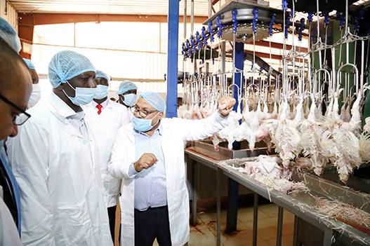 DP William Ruto visited a farm that rears 1.2 million chicken