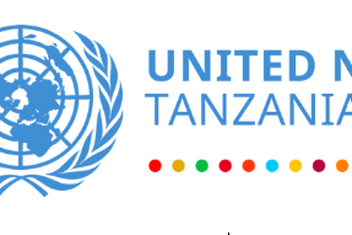 UN Information Centre Dar es Salaam