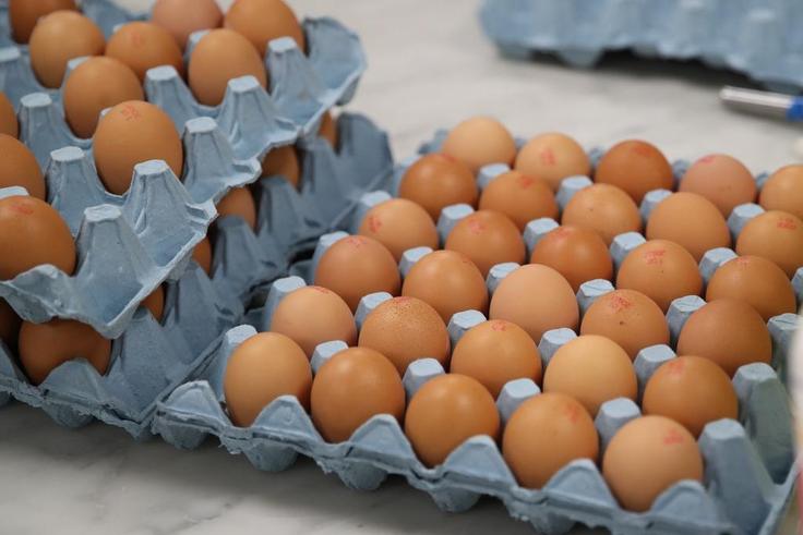 Eggs