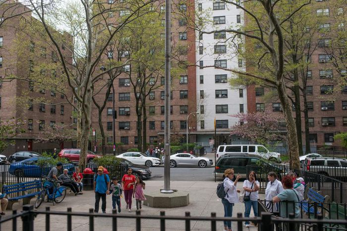 To Save Public Housing, New York Warily Considers a New Approach: Tear Some Down