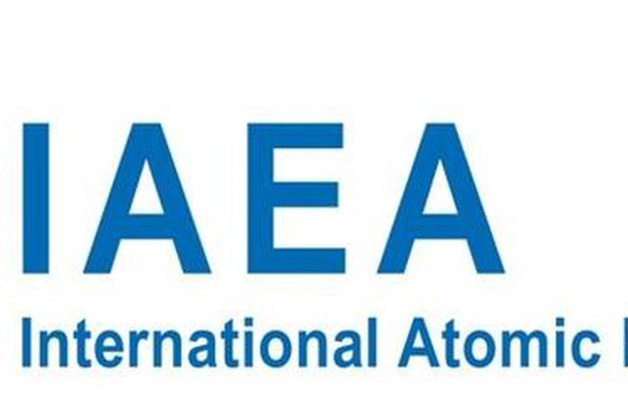 International Atomic Energy Agency (IAEA)