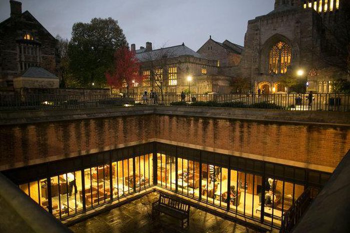 Getting in: Books that expose college admissions mania