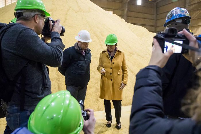 Can a Woman Win? Candidates Say, 'I Have'