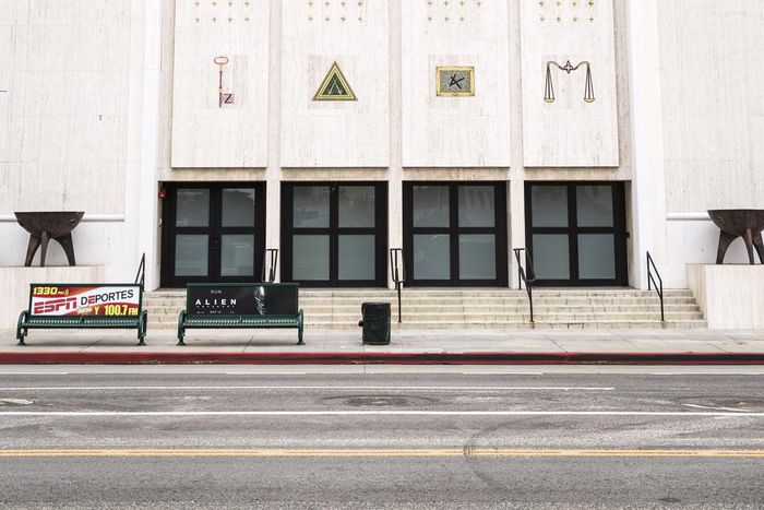 Marciano Art Foundation Lays Off Employees Trying to Unionize