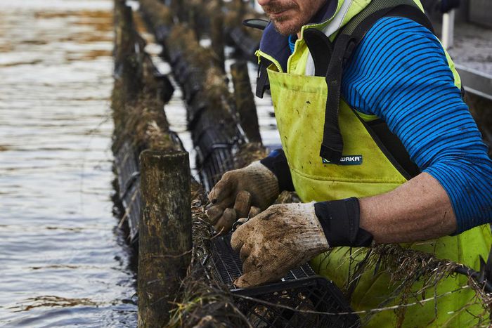 He's Writing 365 Children's Books in 365 Days, While Holding Down a Day Job