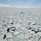 Warming in Arctic Raises Fears of a 'Rapid Unraveling' of the Region