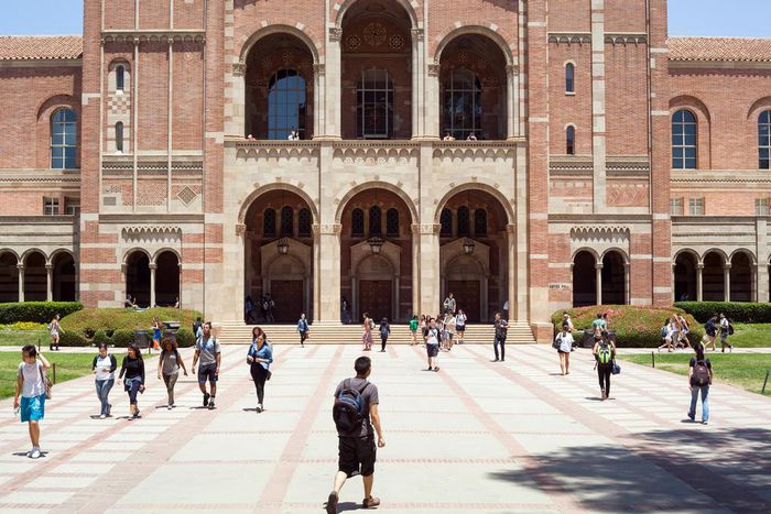 As Students Struggle With Stress and Depression, Colleges Act as Counselors