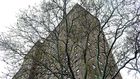 Bloody Ax Recovered at Homicide Scene in Brooklyn, Police Say